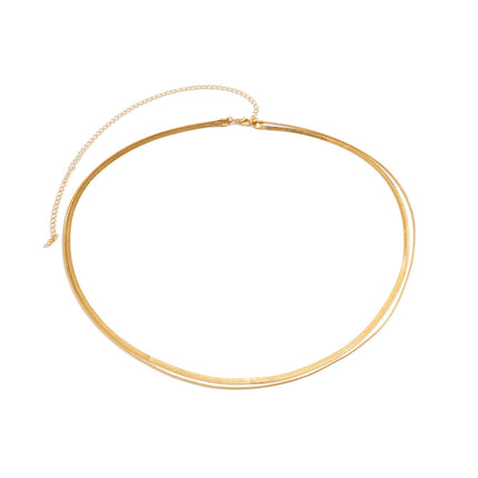 Cadena Metálica De Cintura Sencillo De Doble Capa Casual De Hueso De Serpiente De Moda