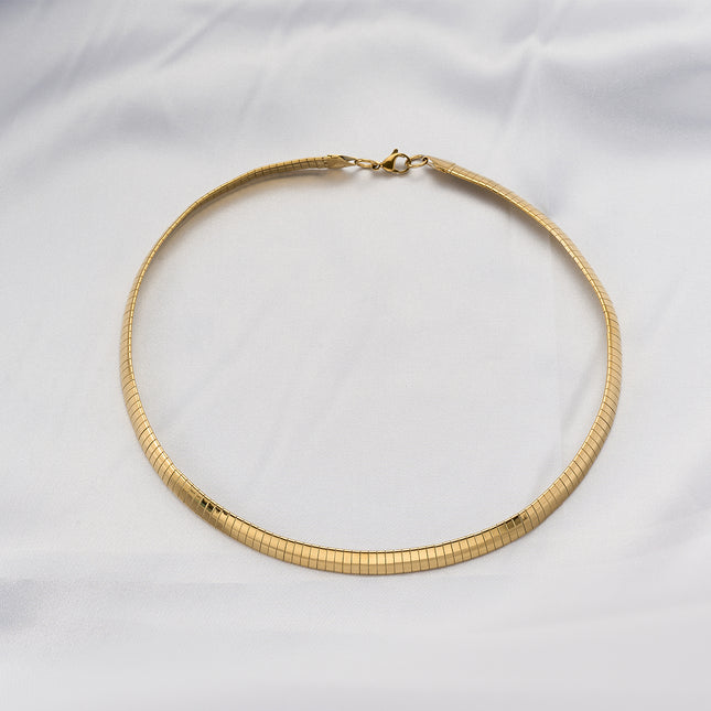 Collar Brillante De Acero Inoxidable Cadena Gruesa De Clavícula De Moda De Estilo Neutro