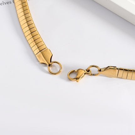 Collar Brillante De Acero Inoxidable Cadena Gruesa De Clavícula De Moda De Estilo Neutro