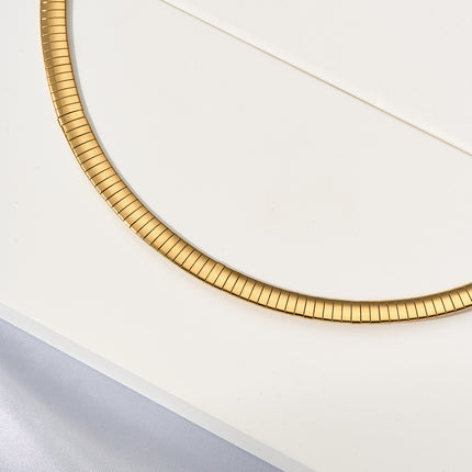 Collar Brillante De Acero Inoxidable Cadena Gruesa De Clavícula De Moda De Estilo Neutro