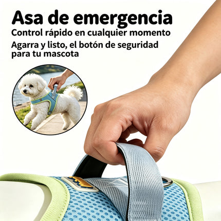 Arnés Reflectante para Perro con Correa, Ajustable Arnés de Pecho de Estilo Silla de Montar, Transpirable Antitirones para Paseos Diarios