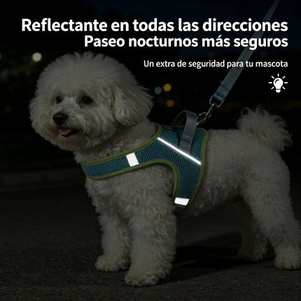 Arnés Reflectante para Perro con Correa, Ajustable Arnés de Pecho de Estilo Silla de Montar, Transpirable Antitirones para Paseos Diarios