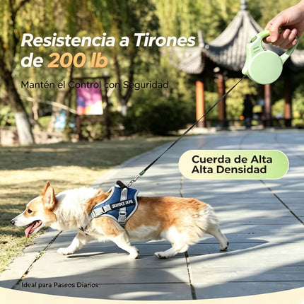 Correa Extensible Automática para Perros y Gatos, Correa Retráctil Antitirones para Mascotas Pequeñas y Medianas